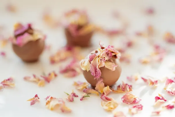 Casino Vegas Spins Android/iOS Forrit